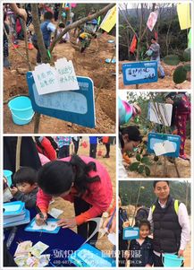 碧桂園植樹節 佩悅傳媒以專業公關策劃，賦能綠色品牌行動